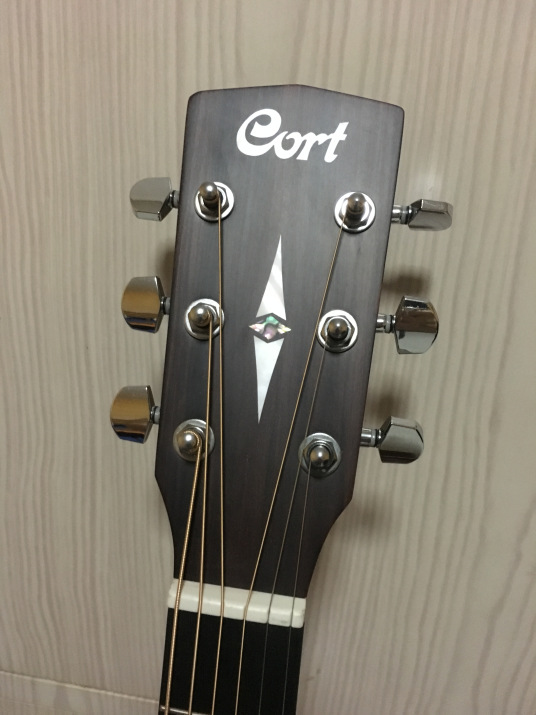 Cort Guitar Serial Number